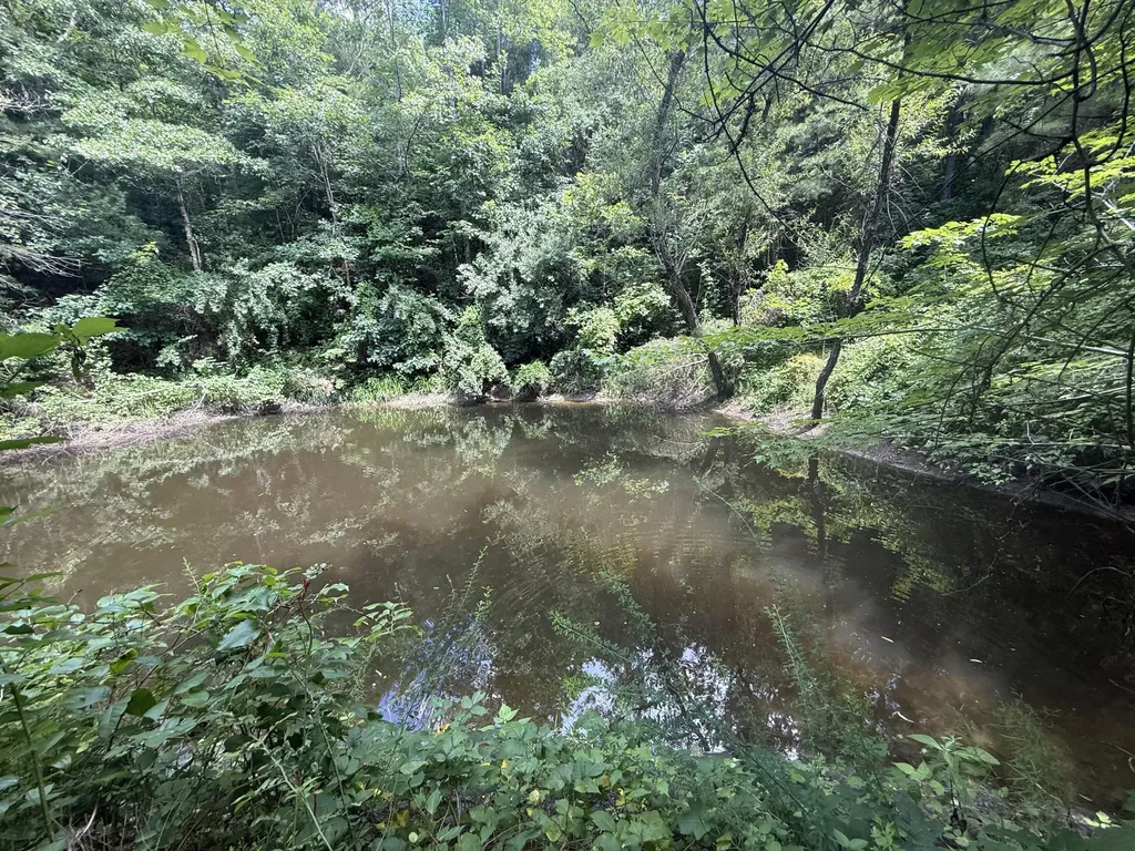 1191 W Adkins-arthur Road Somerset KY 42501