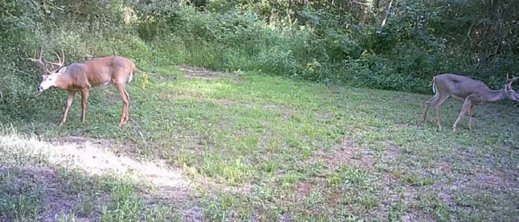 1191 W Adkins-arthur Road Somerset KY 42501