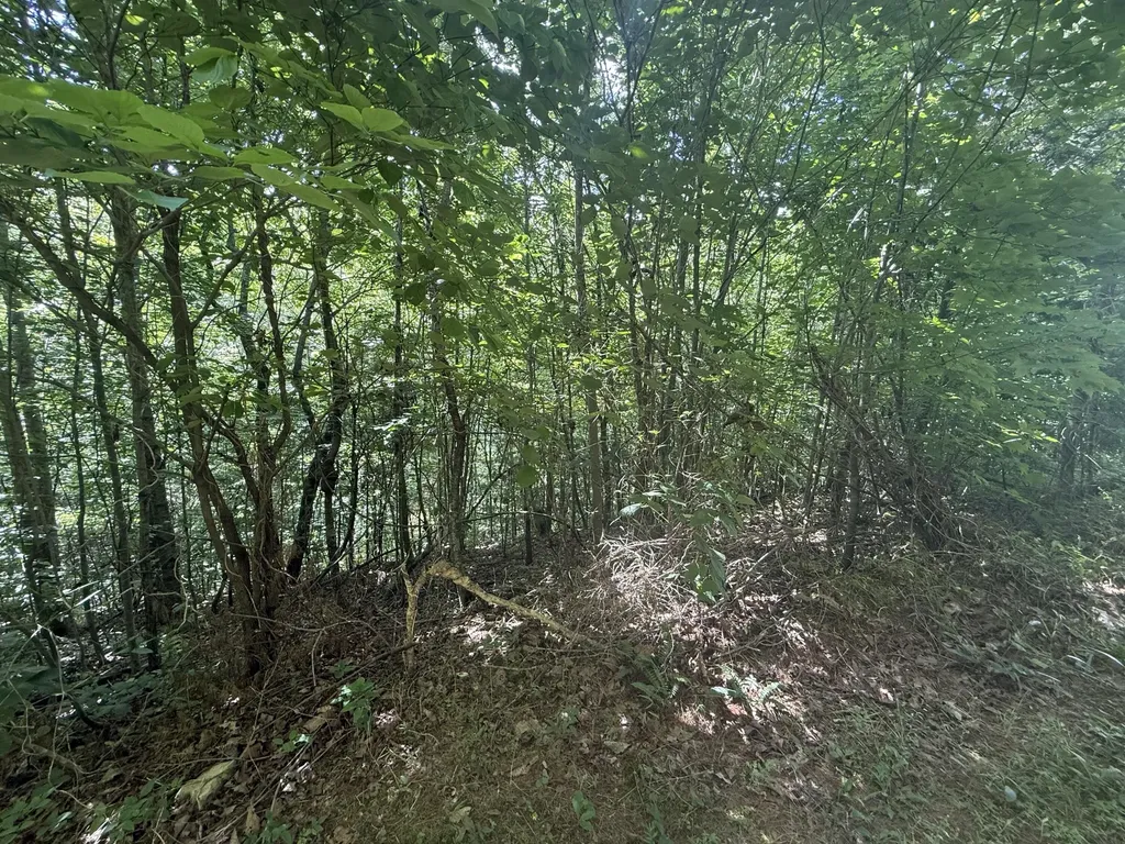 1191 W Adkins-arthur Road Somerset KY 42501