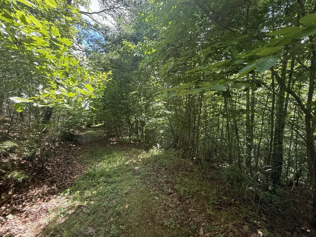 1191 W Adkins-arthur Road Somerset KY 42501