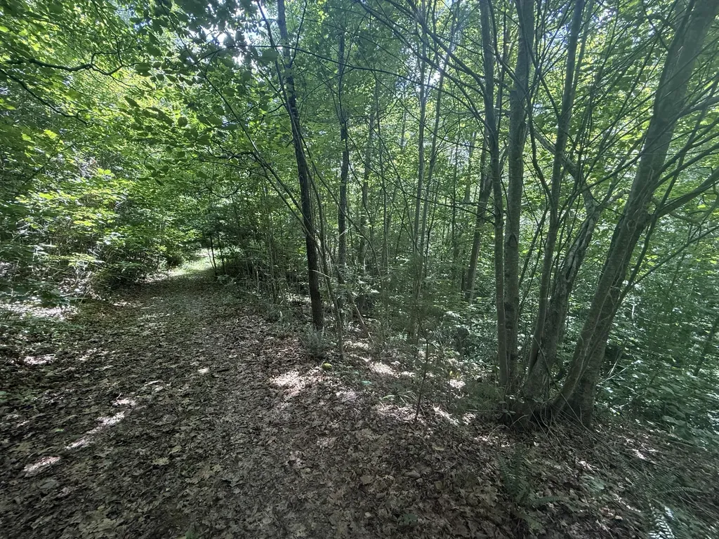 1191 W Adkins-arthur Road Somerset KY 42501