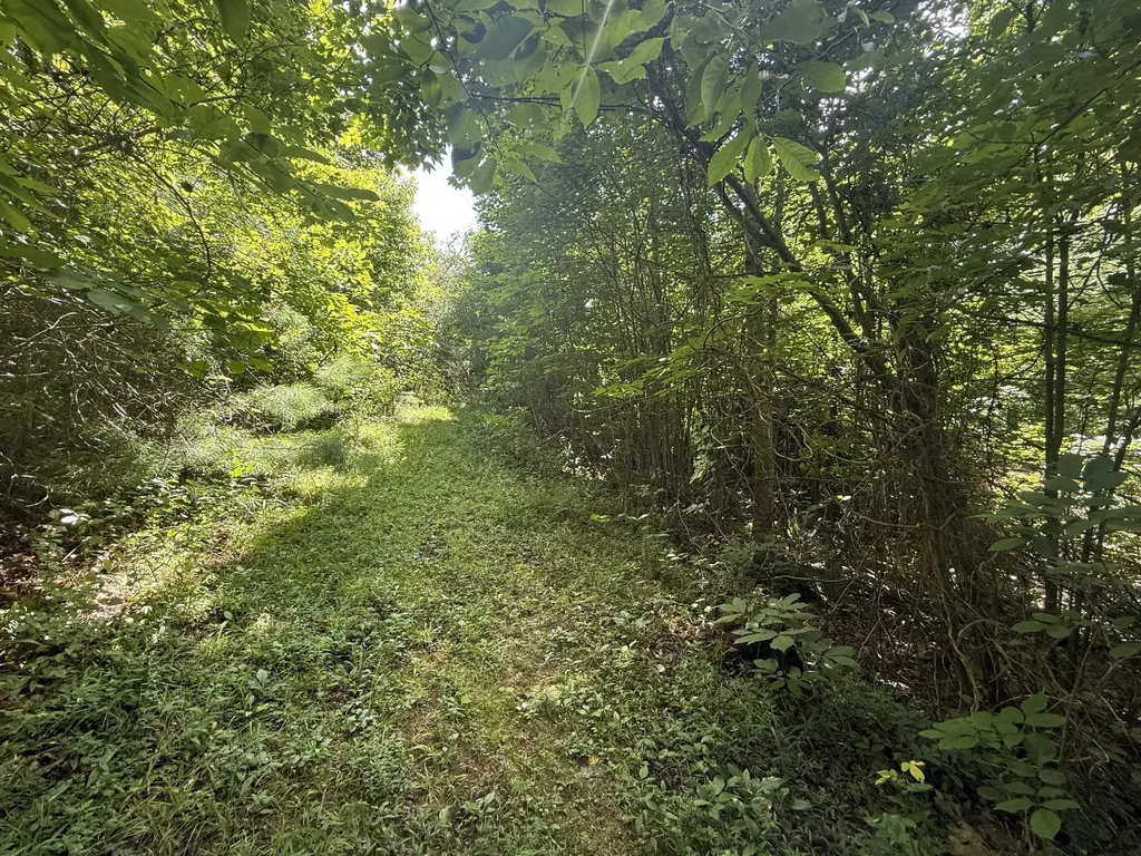 1191 W Adkins-arthur Road Somerset KY 42501