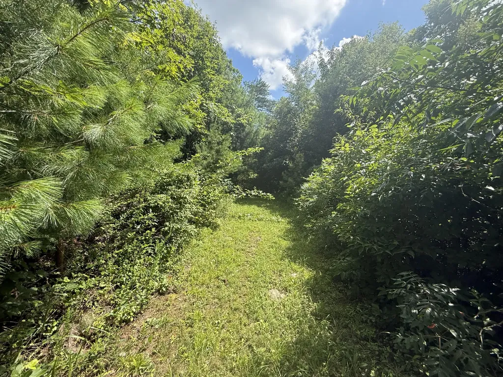 1191 W Adkins-arthur Road Somerset KY 42501