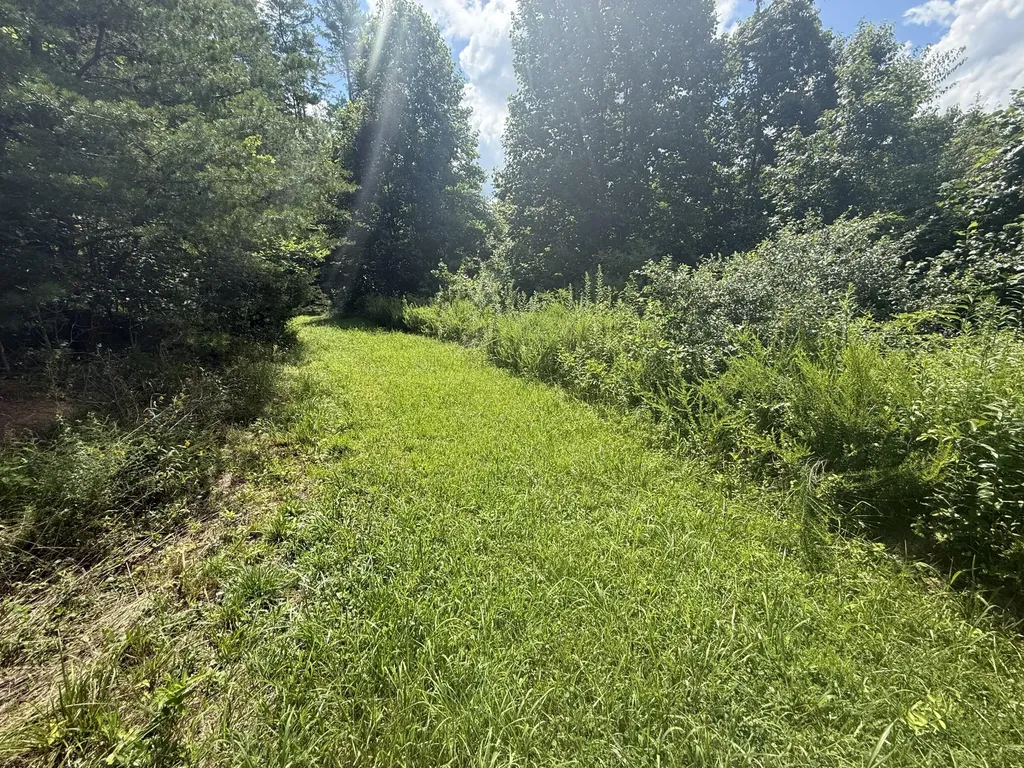 1191 W Adkins-arthur Road Somerset KY 42501