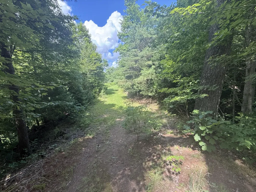 1191 W Adkins-arthur Road Somerset KY 42501