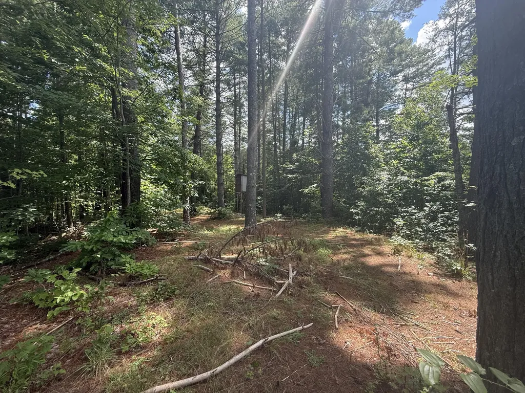 1191 W Adkins-arthur Road Somerset KY 42501