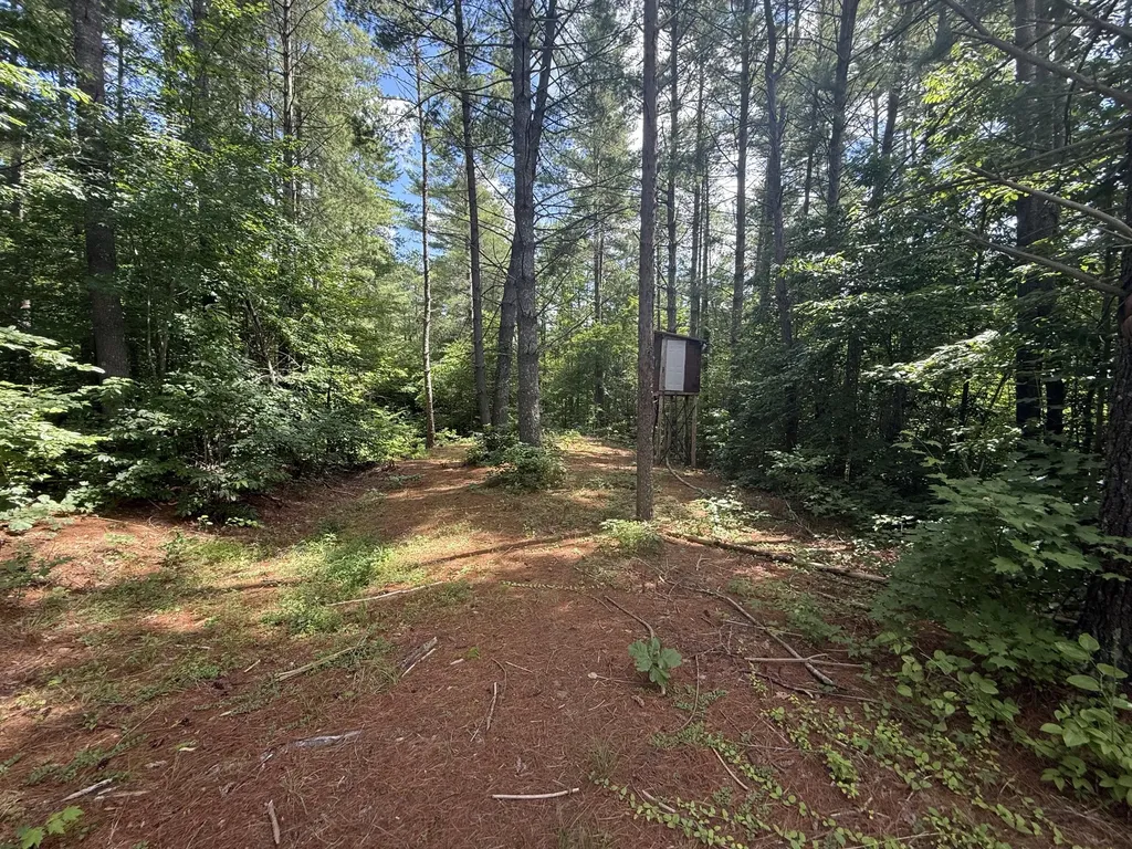 1191 W Adkins-arthur Road Somerset KY 42501