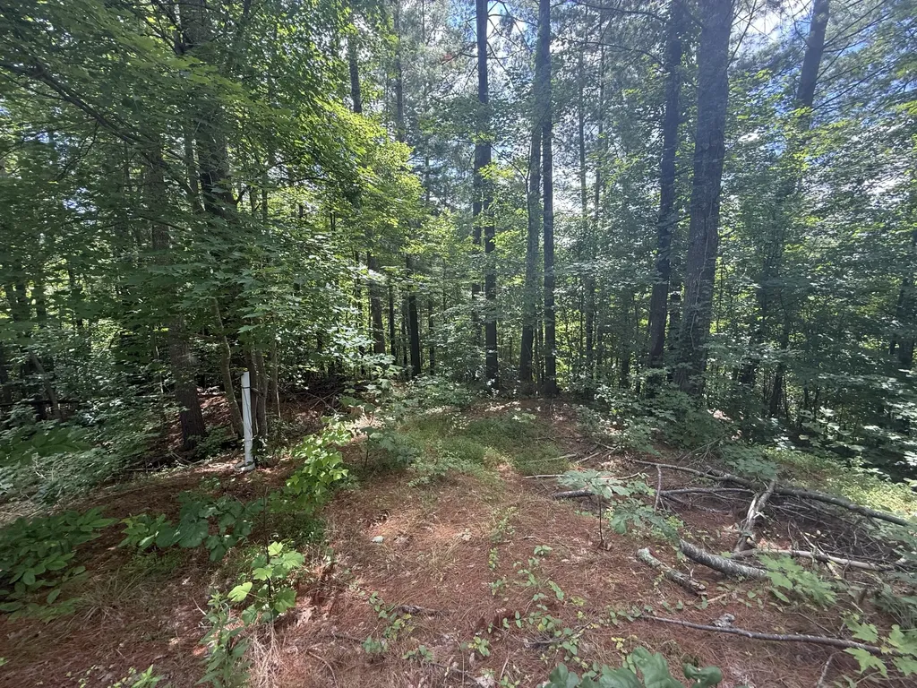 1191 W Adkins-arthur Road Somerset KY 42501