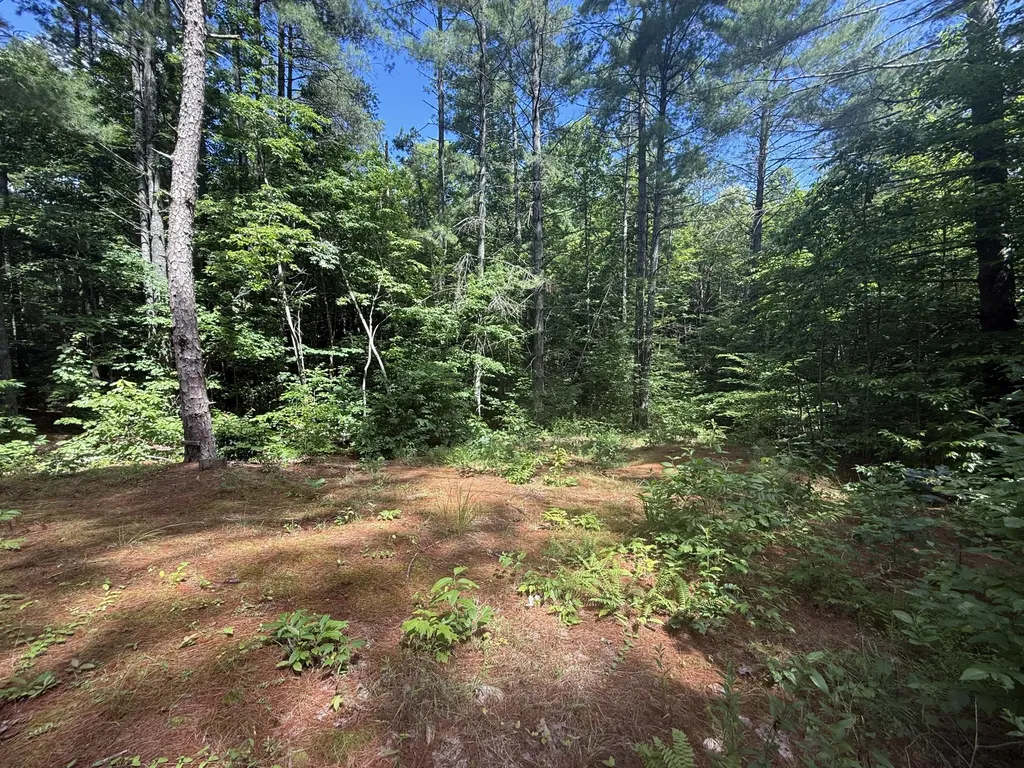 1191 W Adkins-arthur Road Somerset KY 42501