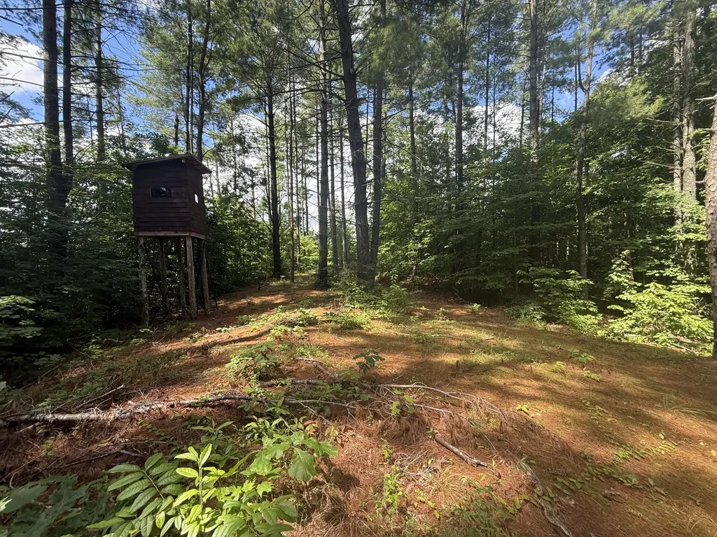 1191 W Adkins-arthur Road Somerset KY 42501