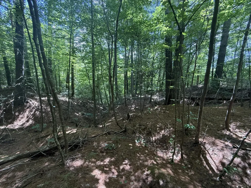 1191 W Adkins-arthur Road Somerset KY 42501