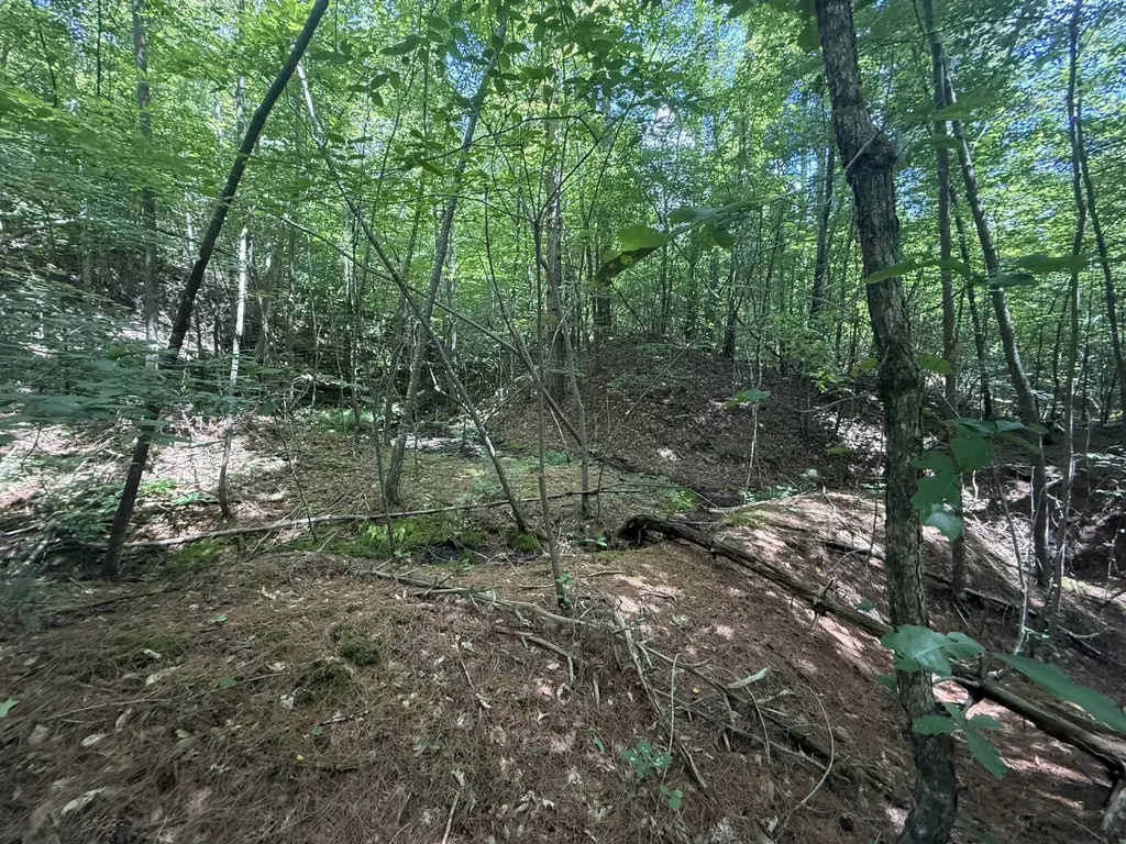 1191 W Adkins-arthur Road Somerset KY 42501