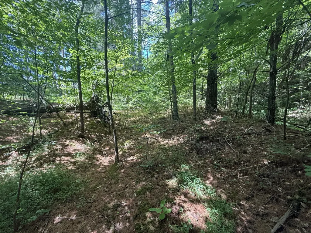 1191 W Adkins-arthur Road Somerset KY 42501