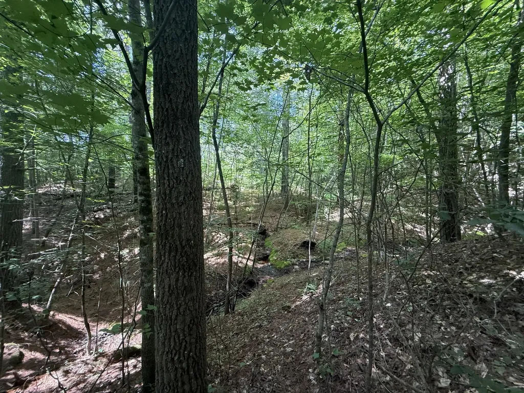 1191 W Adkins-arthur Road Somerset KY 42501