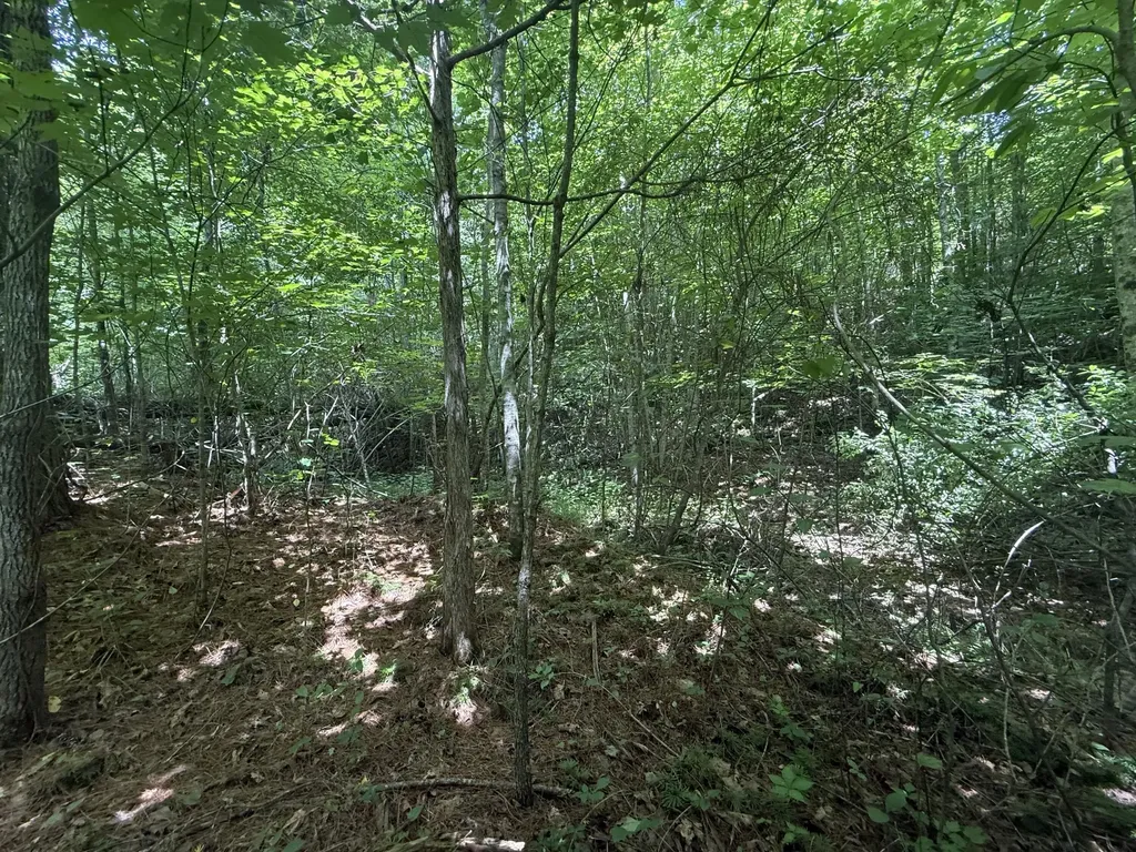 1191 W Adkins-arthur Road Somerset KY 42501