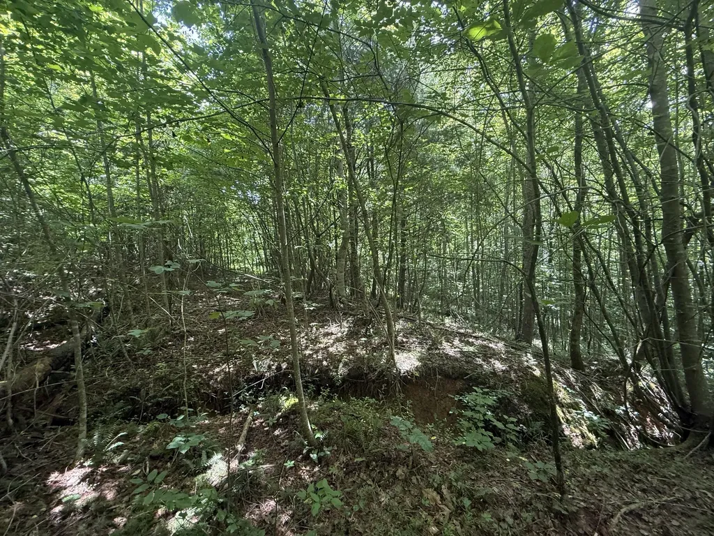 1191 W Adkins-arthur Road Somerset KY 42501