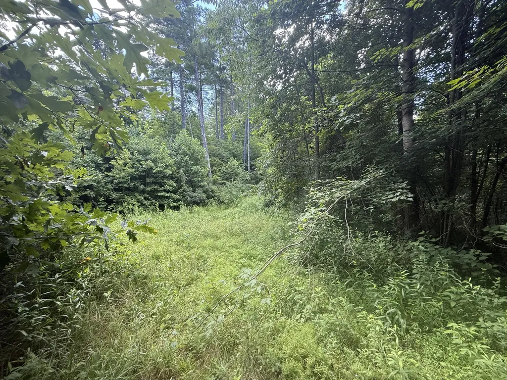 1191 W Adkins-arthur Road Somerset KY 42501