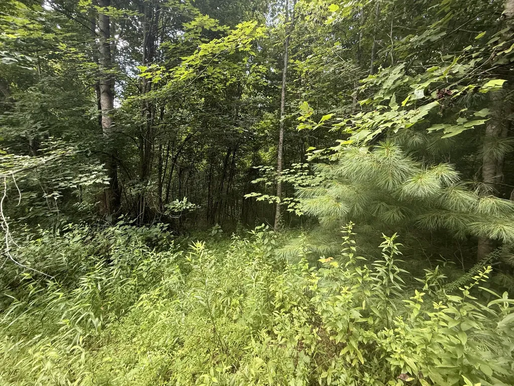 1191 W Adkins-arthur Road Somerset KY 42501
