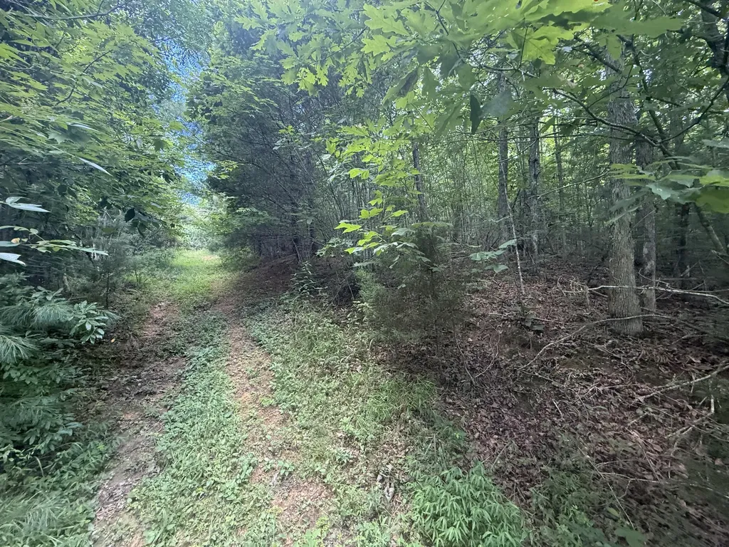 1191 W Adkins-arthur Road Somerset KY 42501