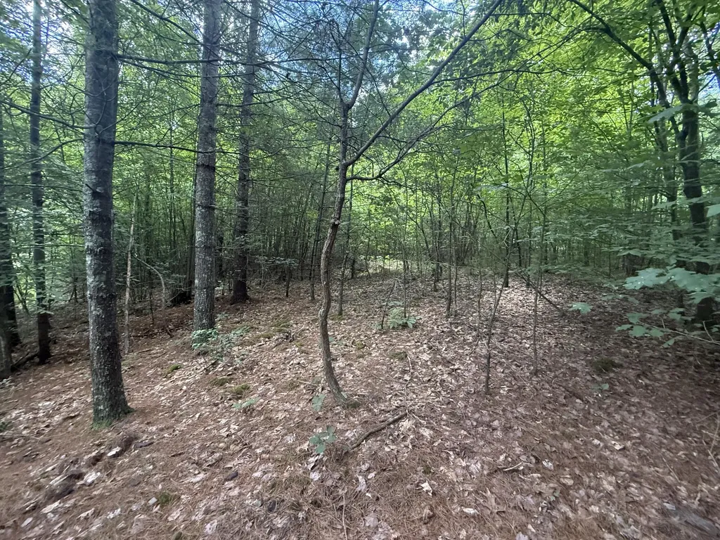 1191 W Adkins-arthur Road Somerset KY 42501