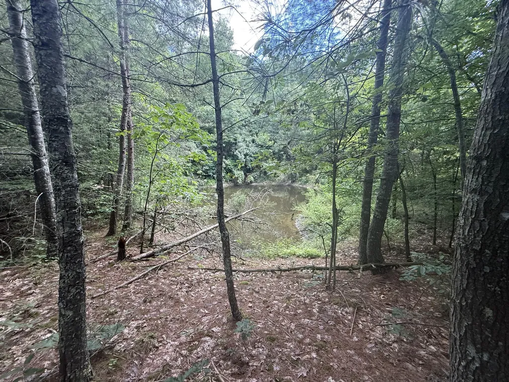 1191 W Adkins-arthur Road Somerset KY 42501