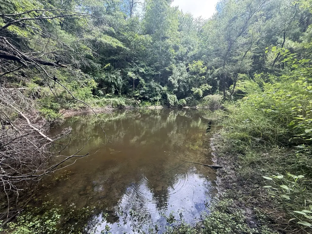 1191 W Adkins-arthur Road Somerset KY 42501