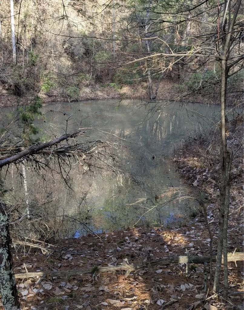 1191 W Adkins-arthur Road Somerset KY 42501