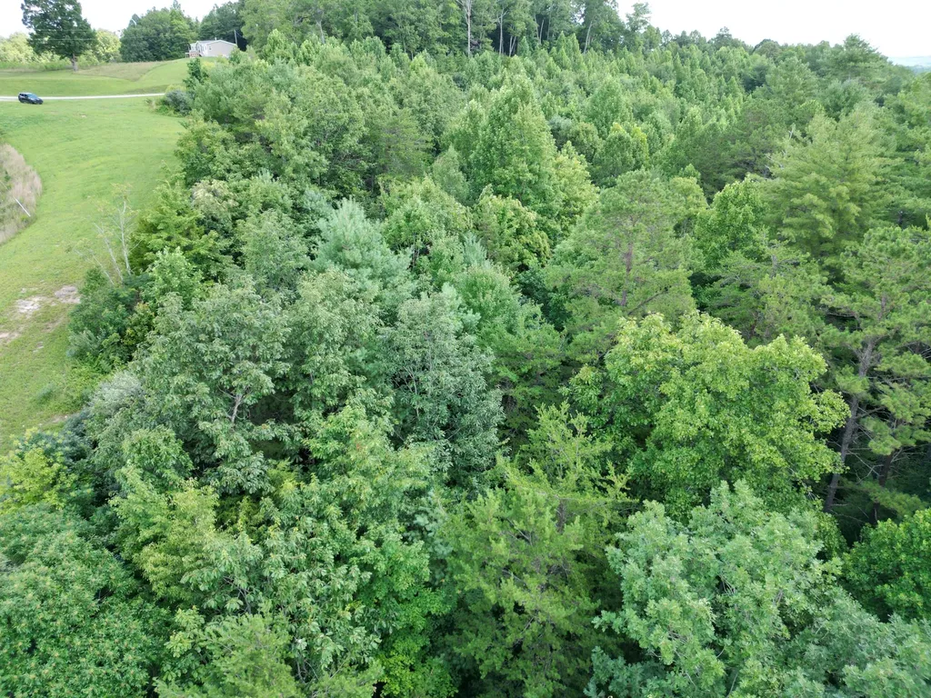 1191 W Adkins-arthur Road Somerset KY 42501