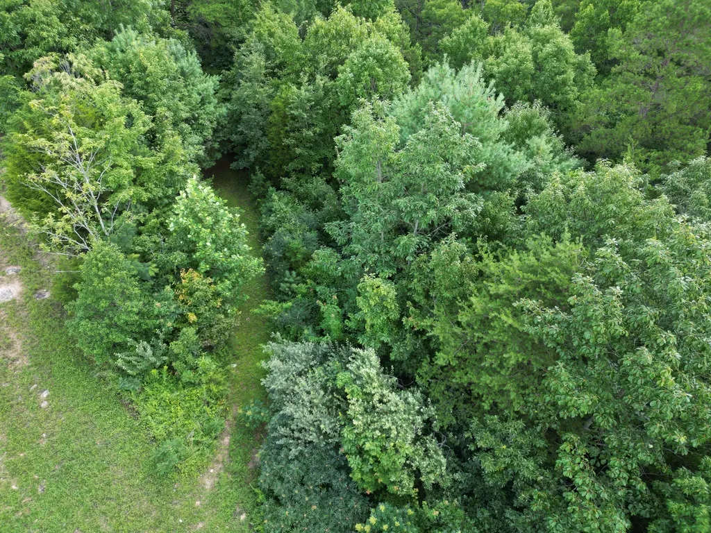 1191 W Adkins-arthur Road Somerset KY 42501