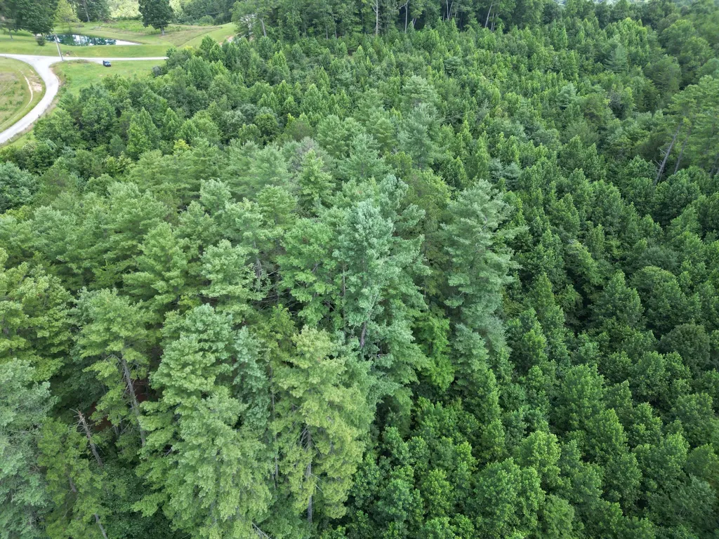 1191 W Adkins-arthur Road Somerset KY 42501