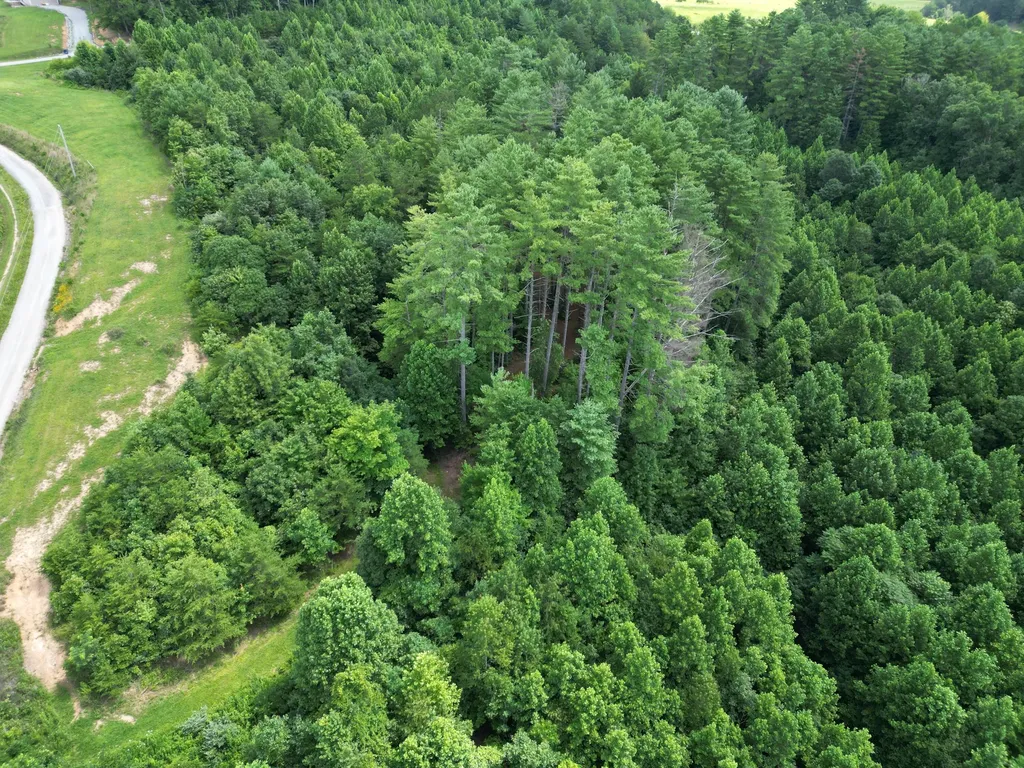 1191 W Adkins-arthur Road Somerset KY 42501