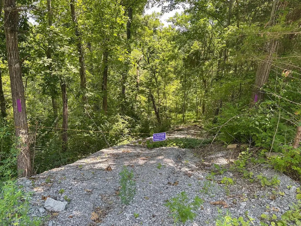 0 S Us Highway 127 Loop #5 Owenton KY 40359