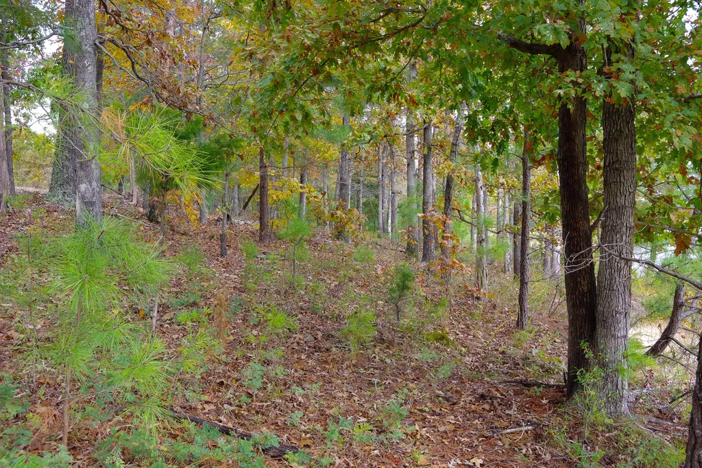 Lot 67 Hillsdale Lane New Concord KY 42076