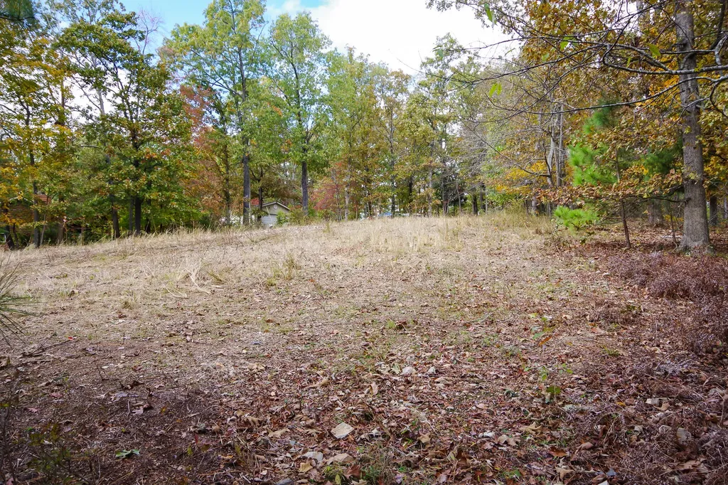 Lot 67 Hillsdale Lane New Concord KY 42076