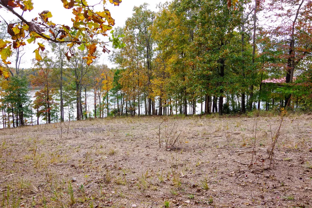 Lot 67 Hillsdale Lane New Concord KY 42076