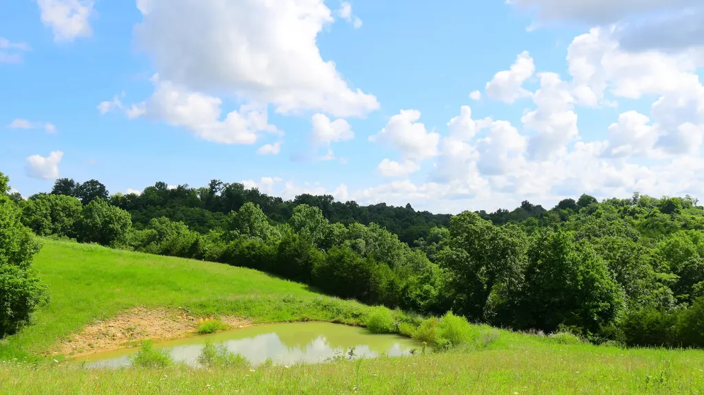 2010 Grapevine Road Harrodsburg KY 40330