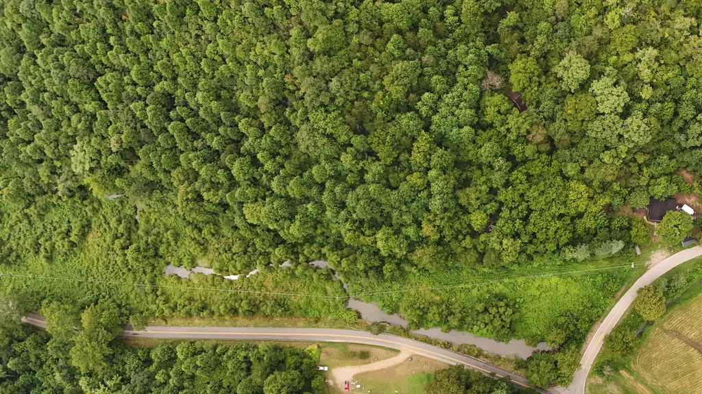 9999 State Highway 223 Flat Lick KY 40935