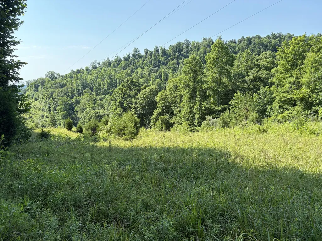 1651 Highway 1643 Somerset KY 42501