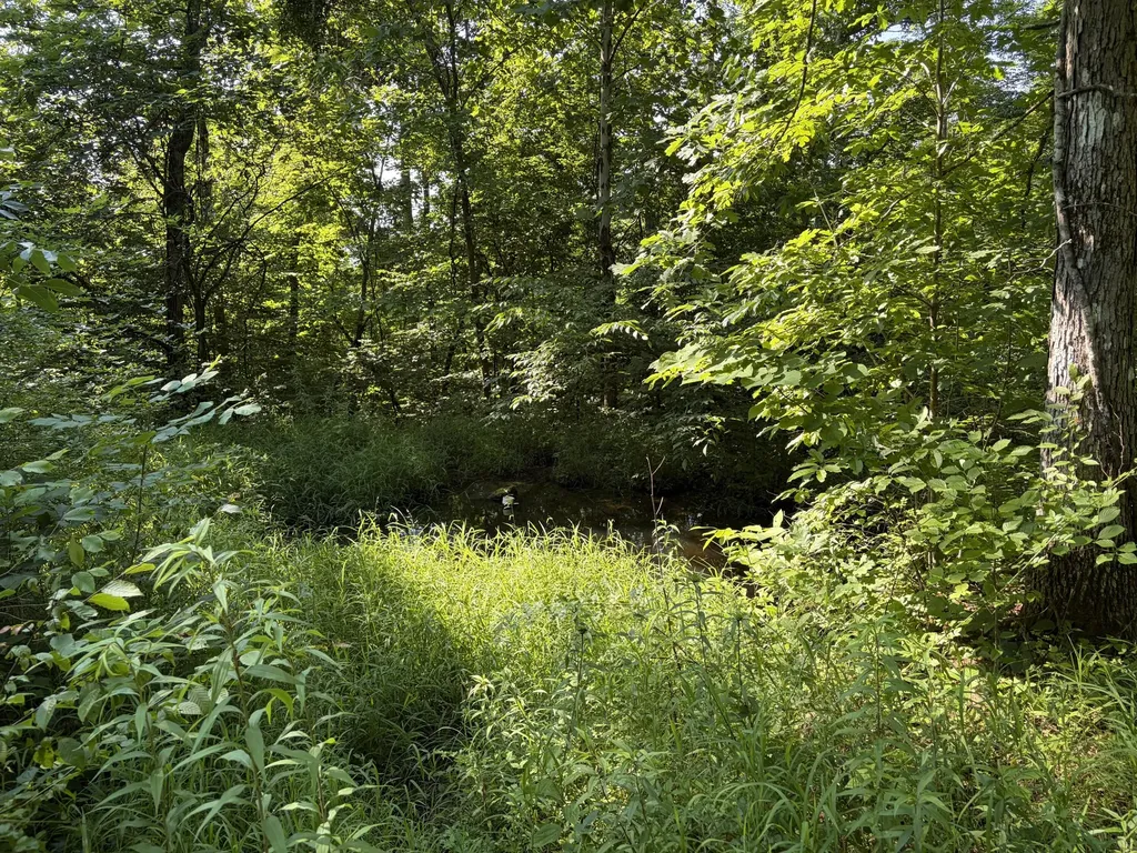 1651 Highway 1643 Somerset KY 42501