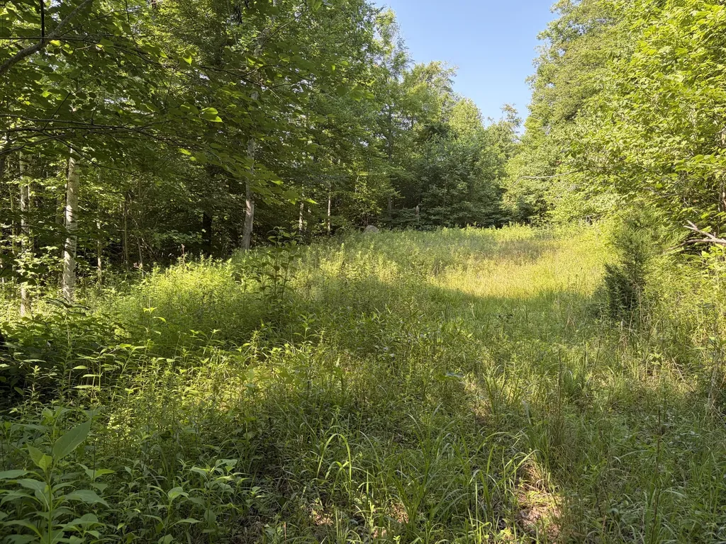 1651 Highway 1643 Somerset KY 42501