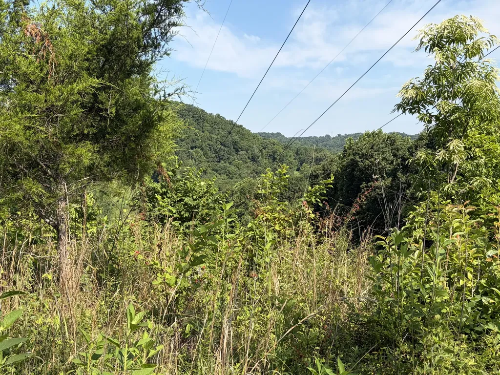1651 Highway 1643 Somerset KY 42501