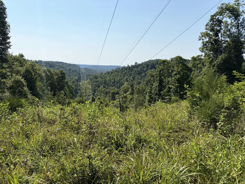 1651 Highway 1643 Somerset KY 42501