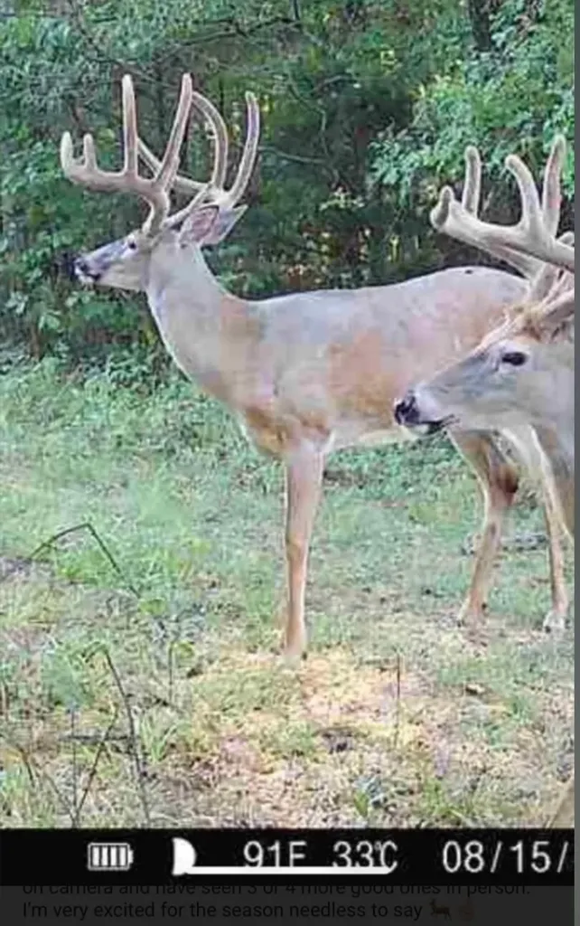 1651 Highway 1643 Somerset KY 42501
