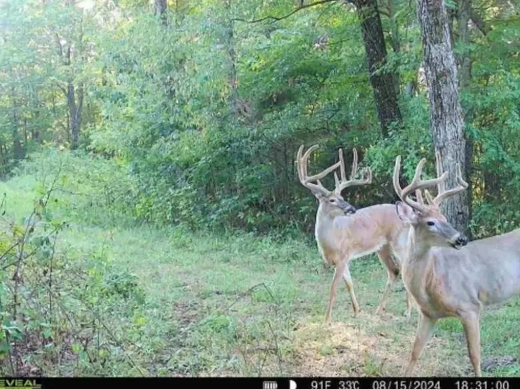 1651 Highway 1643 Somerset KY 42501