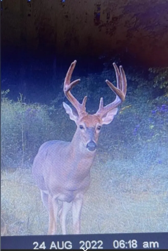 1651 Highway 1643 Somerset KY 42501
