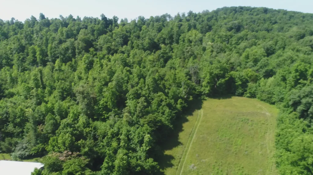 1651 Highway 1643 Somerset KY 42501