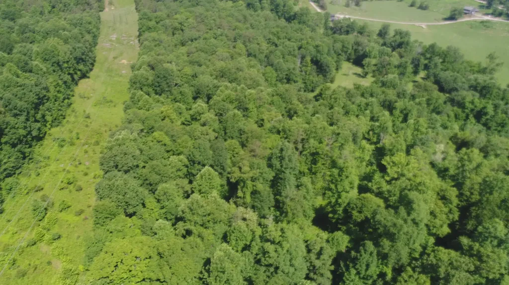 1651 Highway 1643 Somerset KY 42501