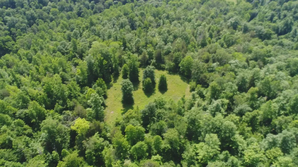 1651 Highway 1643 Somerset KY 42501