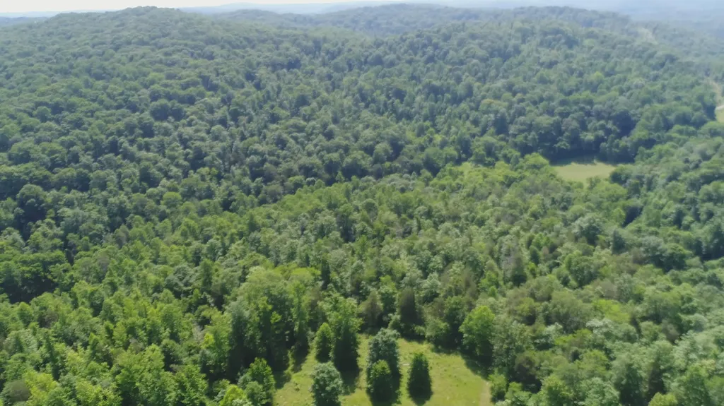 1651 Highway 1643 Somerset KY 42501