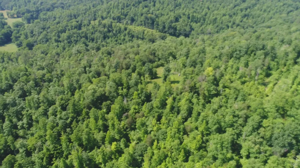 1651 Highway 1643 Somerset KY 42501